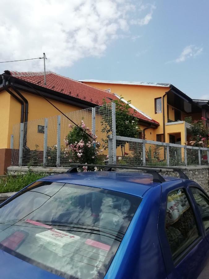 Casa Darius Apartment Orsova Exterior photo